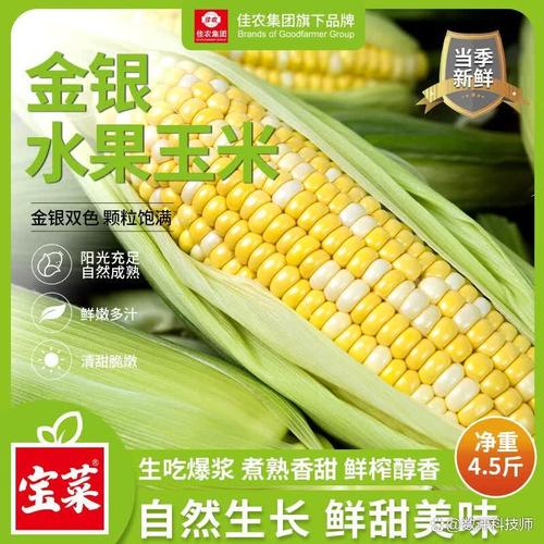京津冀十大最佳蔬菜:健康美味与新鲜选择并存