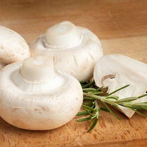 适合组合销售,品种较多,主推品相为香菇和杏鲍菇,菌菇类产品不抗压,在