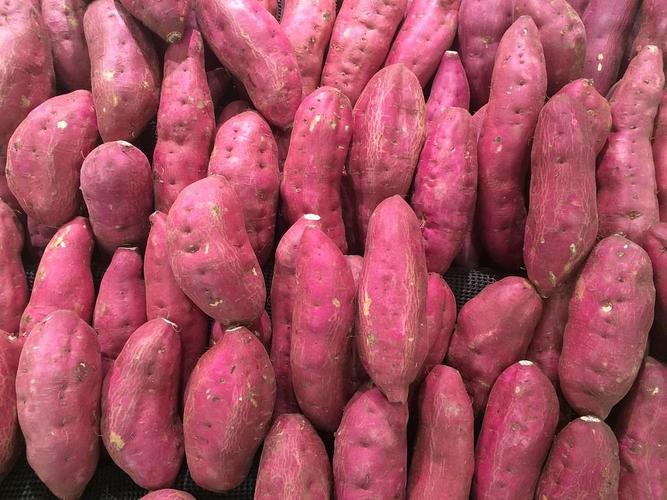 增强免疫系统的10种蔬菜水果 常吃这些食品，让免疫力稳稳提高